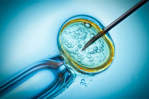 http://nantong.qqkaixin.com/post/199.html|南通供卵助孕